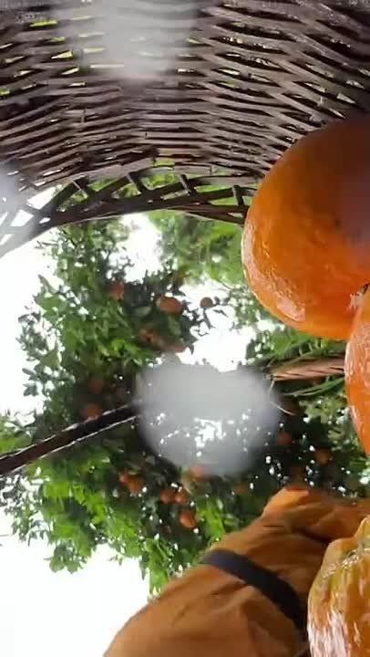 ���������� �������� ���� ����� � ��������� ����������, ���������, ��� �������� ������������� ������� ��������