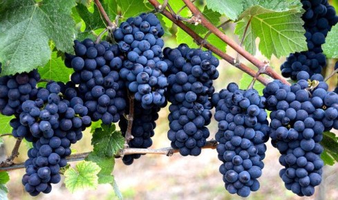 � �����-����� ����� ������ ���������� ��������� ������������� �� ����������� ��������