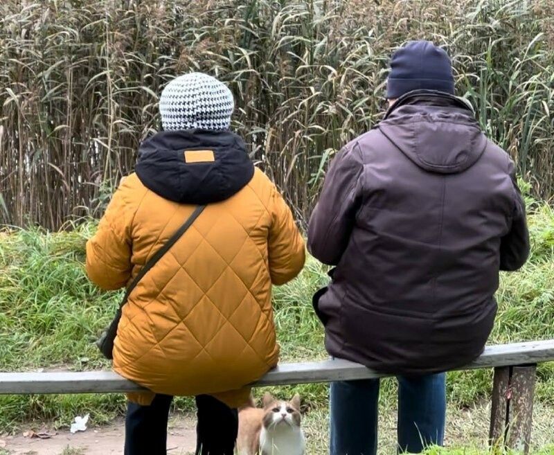 ����� ������ ��� �����������: ���������� ��������� �������� � 19 ������