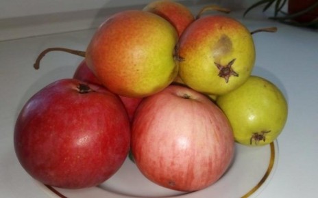 ��� ���� ����� � ������: �������� ������ ��� ��������