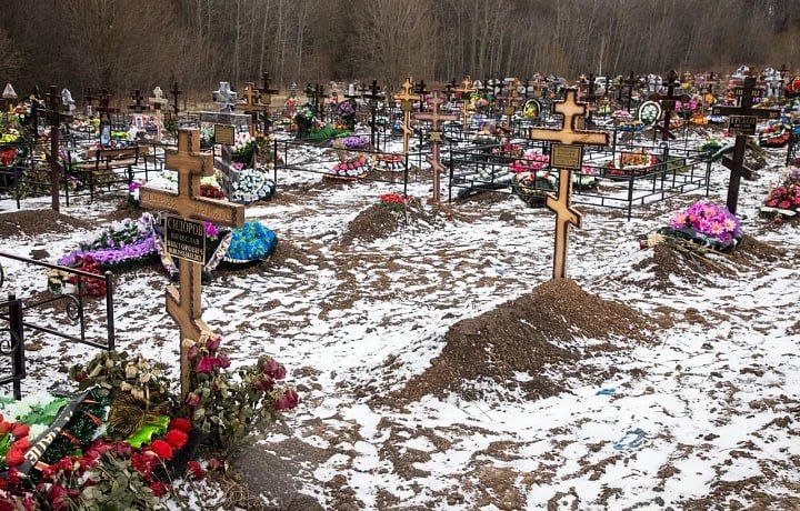 ������������� ����� ������� ���� ������ ��� �� ��� ������� �� 5�10%