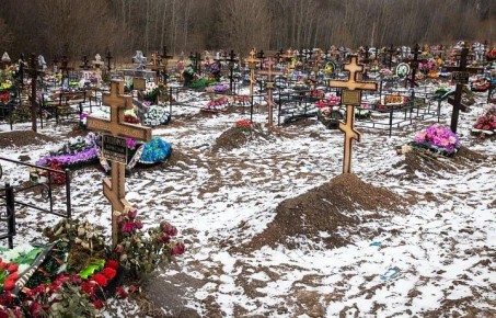 ������������� ����� ������� ���� ������ ��� �� ��� ������� �� 5�10%