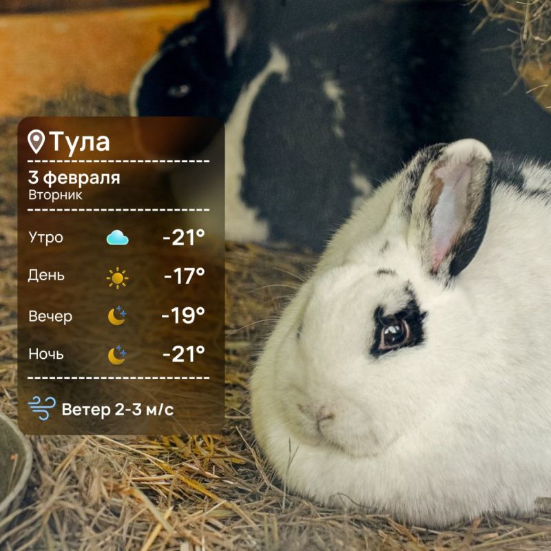 ������ ����. �������� ���������: ��� ���������! ����� ���� ����� ������������