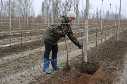 ����� ������� �������: ��� ������� ��������� ������� � ����������