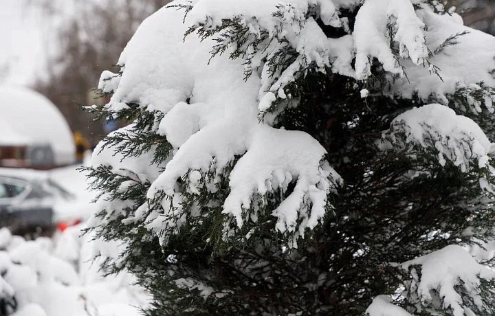 ������ �� 4 �������. ����� ��������: 08:12