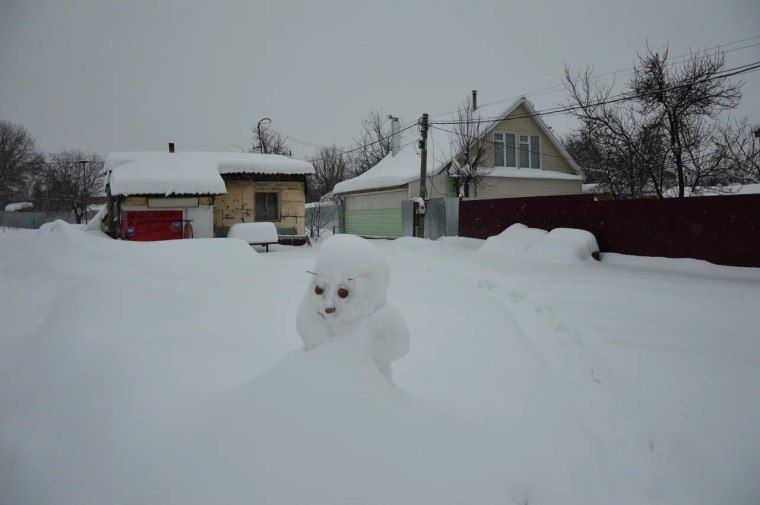 ���� ��������: � ������������ ������ �������������� ��� ������� ������������