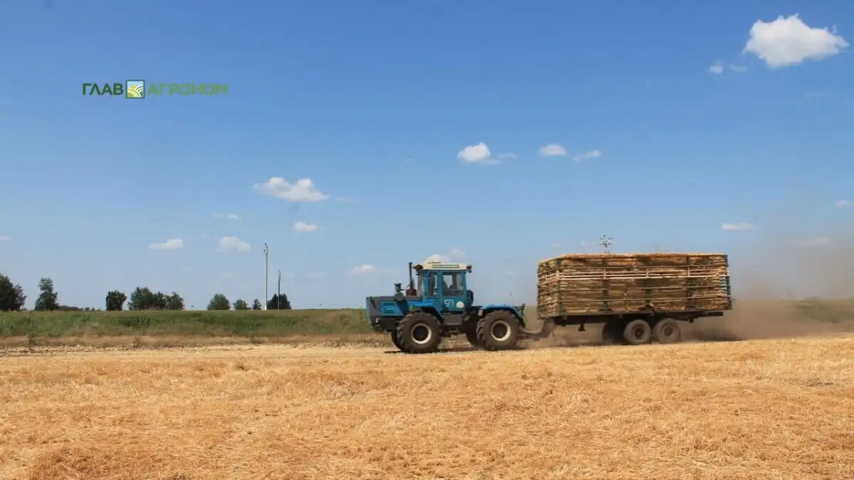 НСА упрощает процесс получения страховых выплат для аграриев
