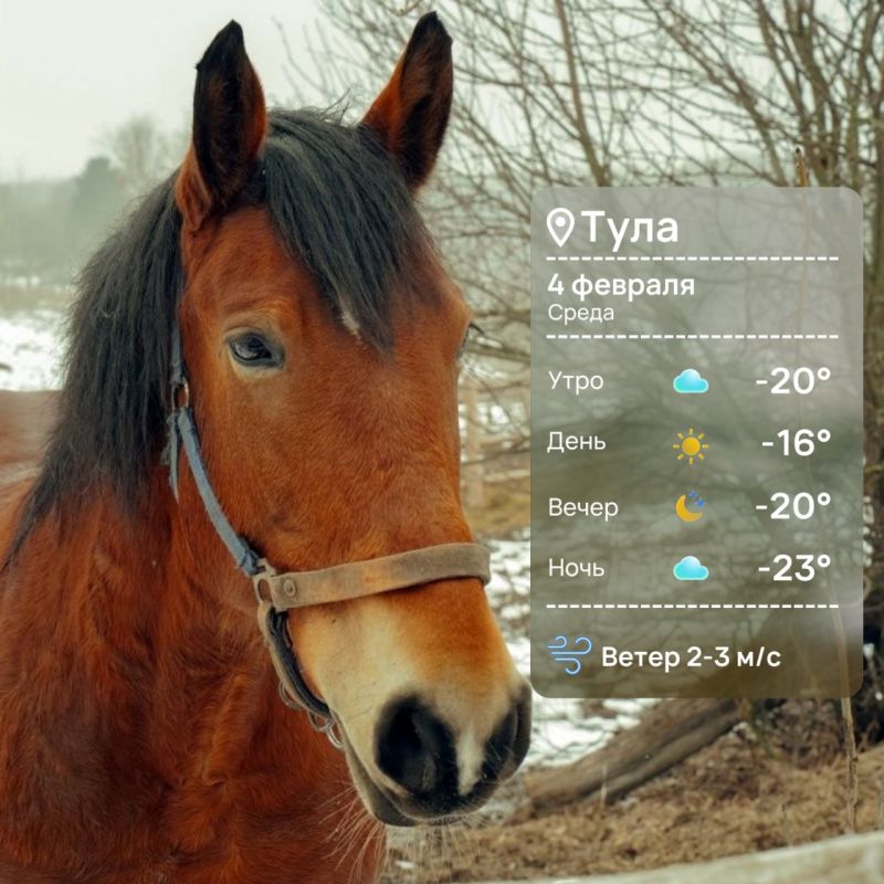 ������ ����. ����� ���� ����� ������ � ������