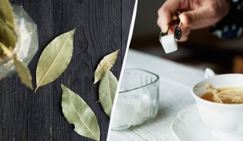 ������ �������� ���� � ��������� ���� ������������ ��������� � ��������� ������