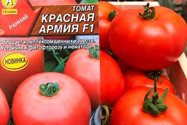 Как выбрать неприхотливый томат: все о сортах Красная армия