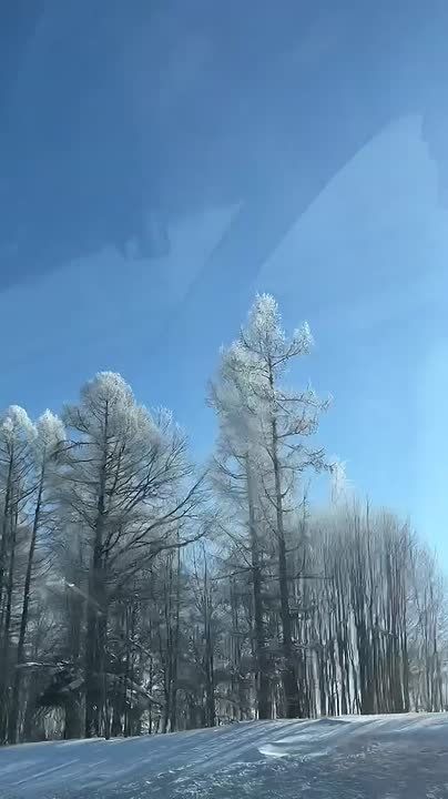 ���� ��������: ���� ��-������� ��������, ����� �������!