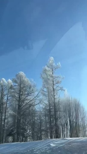 ���� ��������: ���� ��-������� ��������, ����� �������!