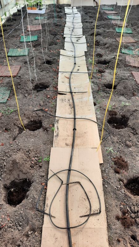 ��� ��������� ����� ���������� ��� ������: ���� �������������