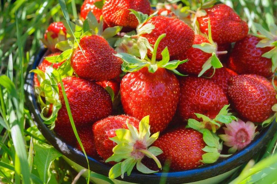 ��� �������� ������� ������ ��������� ������� � ������� ���������