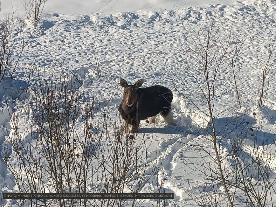 ��� ��������! ��������� ������ ������� � ��������, ������� ������ � �����������