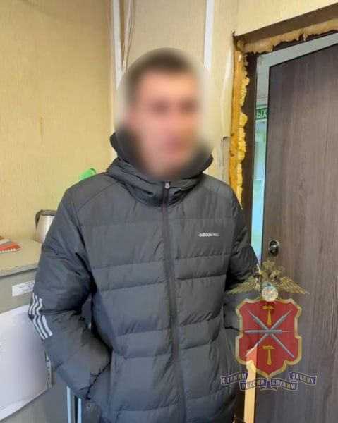 �����, ������� � ��� Wildberries, ����� ��������� ���� ���������������� � ��������������� �����