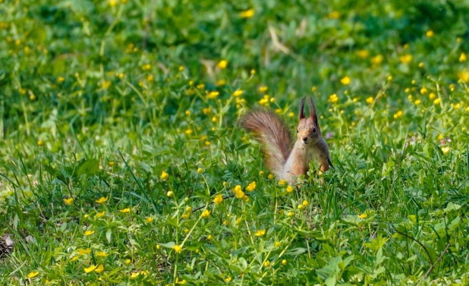 ����� � �������� ������� ������� ������� � ����� �����