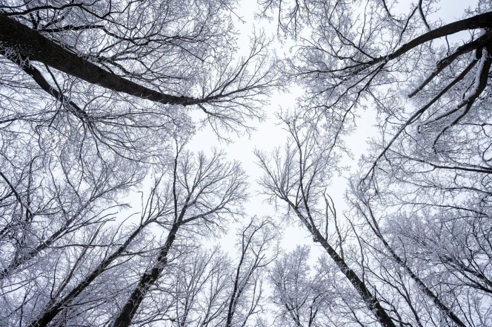 ������ �� 7 �������. ����� ��������: 08:06