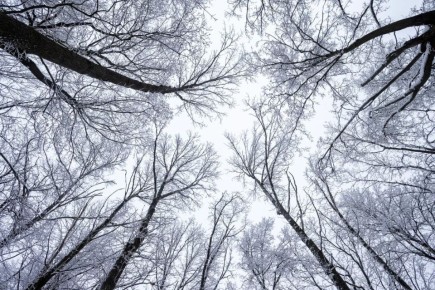 ������ �� 7 �������. ����� ��������: 08:06