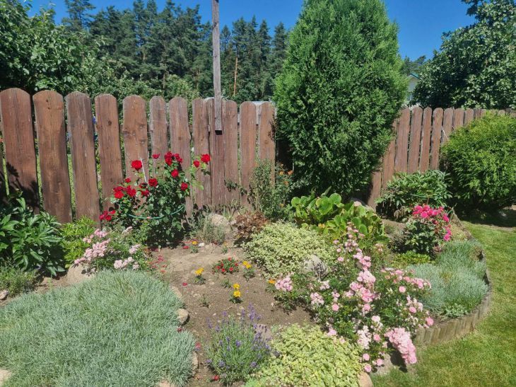 ������ ��� ������ ����� ������ �����: ������ ��������� ��������� ��������� ��� �������������