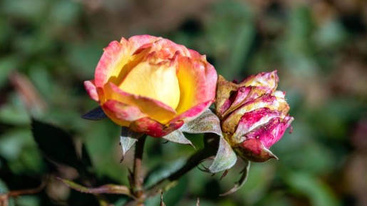 � ������� ����� ������: ��� ����������� ����� ������� � ������ ��� ������