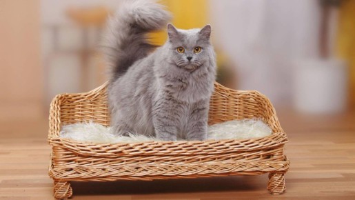 �� ������� �����, ���� ��� ���������� �����: � ��������� �� �� ���� ������ �������