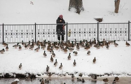 �� ����������� ������ � �������� ������� ��������� ����� ������: �������� � ����� ������ � ������ ������ ������� ����� �������� � ���������� � ����� ������, ������� ������ ���� � ��������� ������� �����