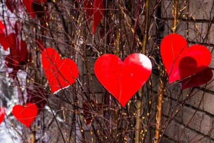 � ������ 14 ������� ����� ����� ���� �������� �������