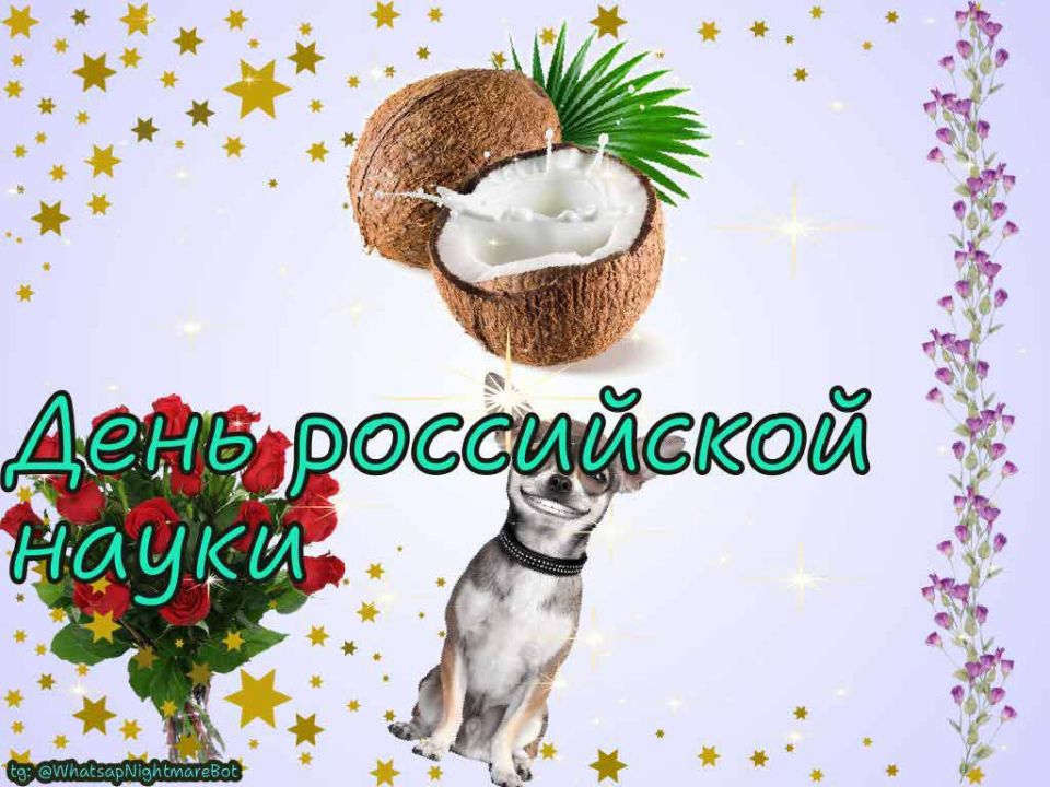 #��������������� �� 8 �������