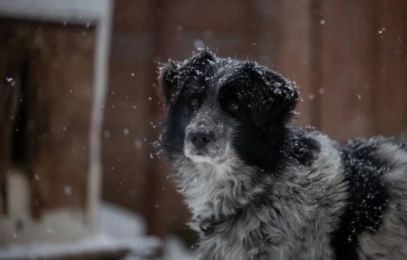 � 2025 ���� � �������� ������� ��������� 3 918 ��������� �����