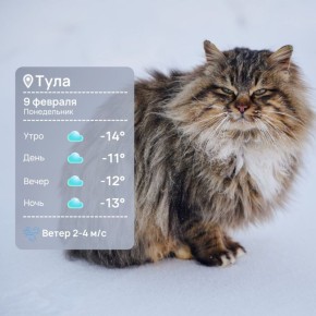 ������ ����. ��� � �������� ����� ������� ������ (������ ����� ��������� ��� ����������)