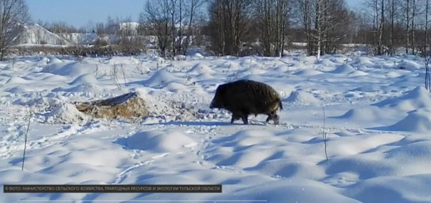 � �������� ����� ����� ������������ ������� ��-�� ������ ���