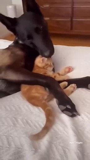 �������� ���� � ����� ���������