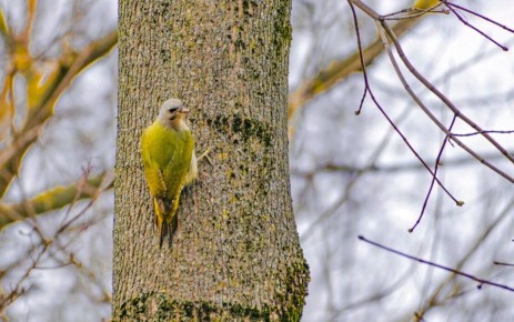 ����� ��������� ������ ��� ���� � ����� ��� ��������