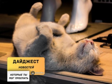 ������������ � ��������, ������� �� ����� ���������� �����