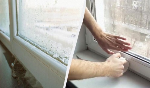 ��� �������� ���������� �� ����������: ������� ������ � ��������