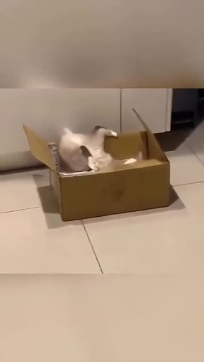 ���� ��������� ���� ������� �������?