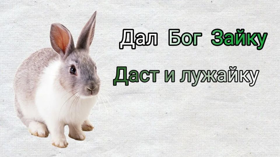 Глава тульского Минздрава Мухин о рождаемости: Нужно дать понять, что три – это норма