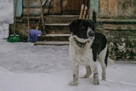 � ������ ���������� ������ ����� �� ����� �����