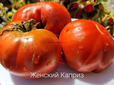 ������ �������� �������: ��� ��������� ��������� �����