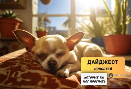 ������������ � ������� ��������, ������������ � ��������