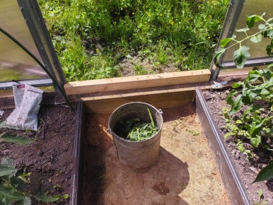 ������� ���������: ��� ���������� � ������ ������ �� ����