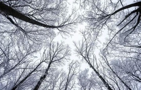 ������ �� 13 �������. ����� ��������: 07:54