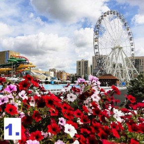 ���� ��������: ������� � ���� ������ ���������