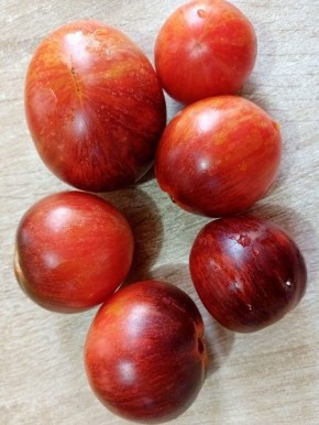 Томат Фиолетовый дракон: экзотика на вашем столе