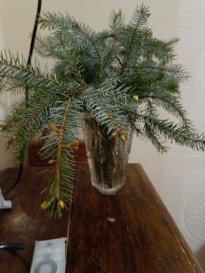 Как новогодние веточки стали символом весны в квартире