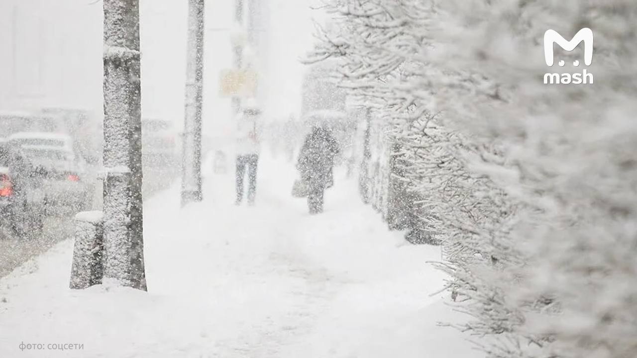 Мощный снегопад обрушится на центральную часть России на грядущей неделе