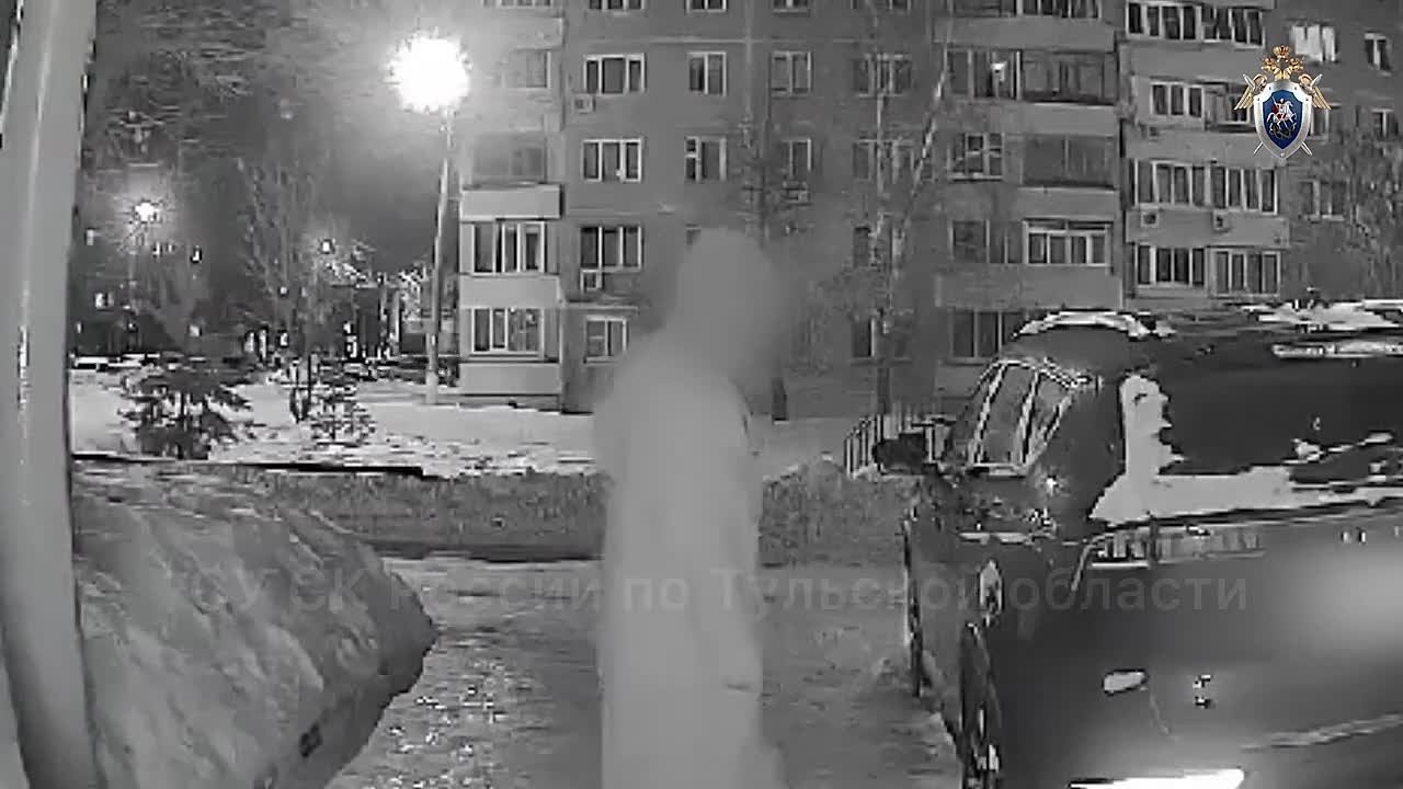 В Новомосковске предъявлено обвинение местной жительнице, причастной к причинению смерти по неосторожности