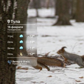 ������ ����. ������� ��� ������ ������!