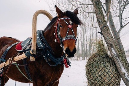 �� ��������� ���� ������� ������� ����������� ���������